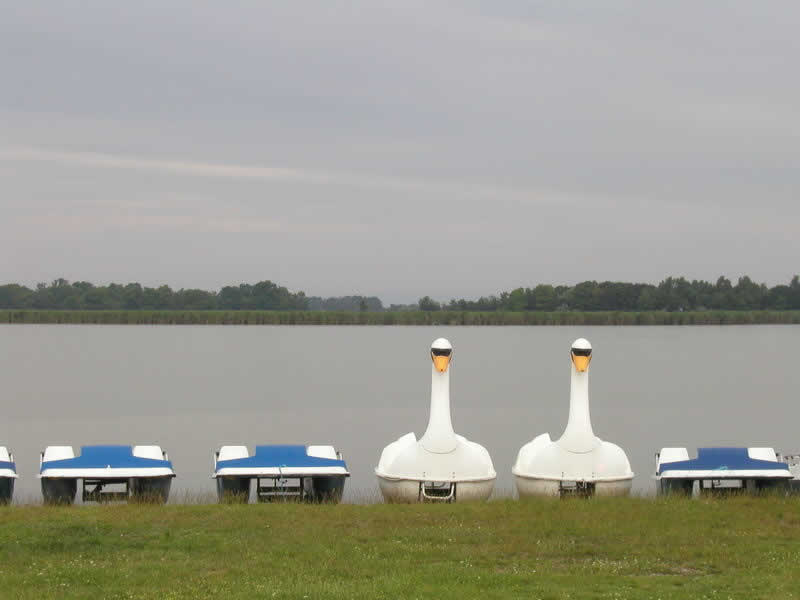 Zicksee im Burgenland