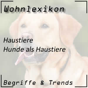 Hunde als Haustiere