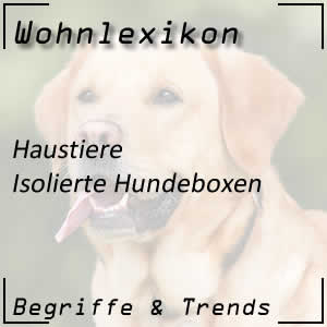 Isolierte Hundebox