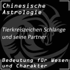 Tierkreiszeichen Schlange Partner