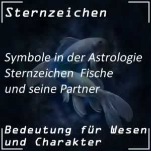 Sternzeichen Fisch und Partner