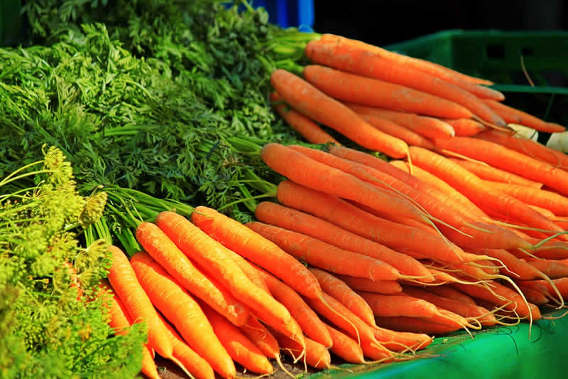 Salatrezepte mit Karotten
