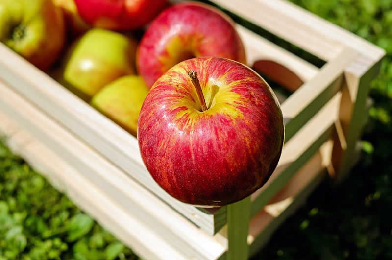 Salatrezepte mit Äpfel