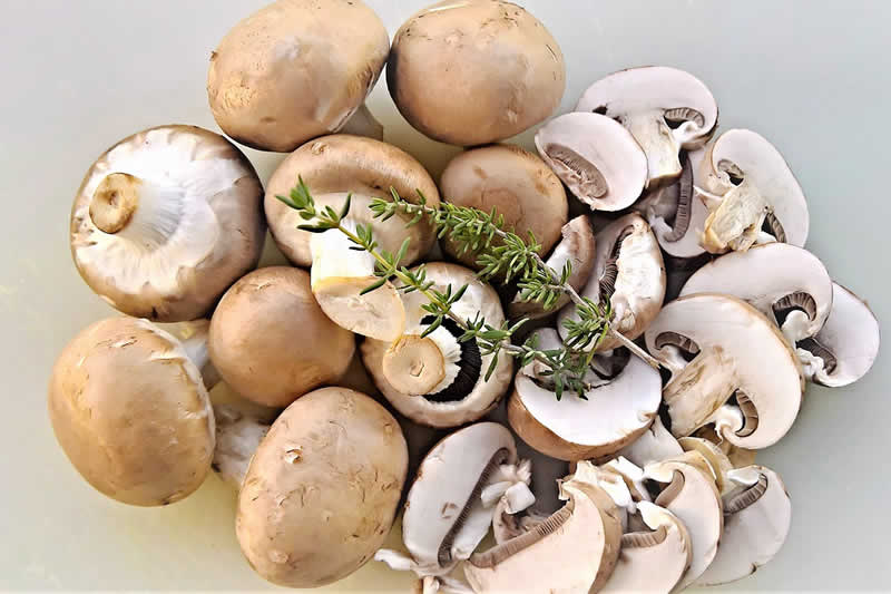 Salatrezepte mit Champignons