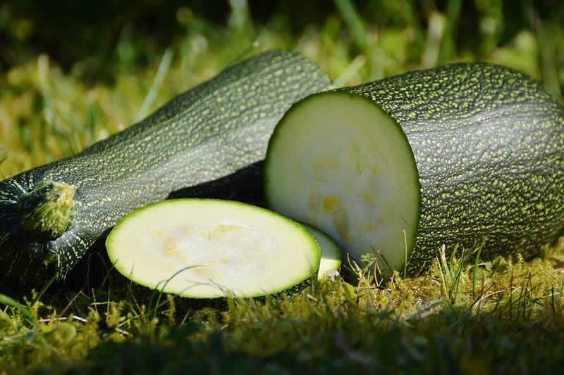 Salatrezepte mit Zucchini