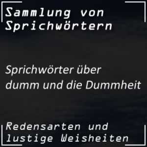 Sprichwörter zum Thema Dumm