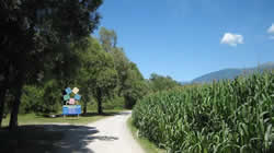 Radweg - Radweg Prater Wien