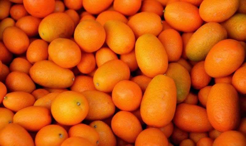 Lebensmittel Kumquat