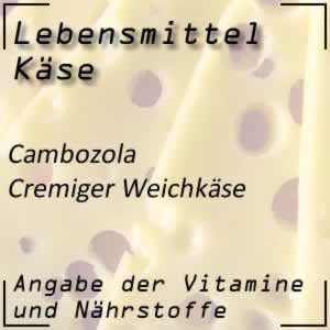 Cambozola Käse mit viel Vitamin A