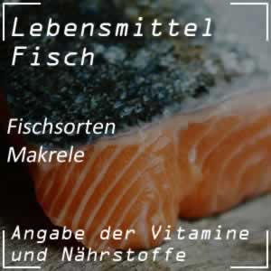 Makrele - Speisefisch mit viel Vitamin B12