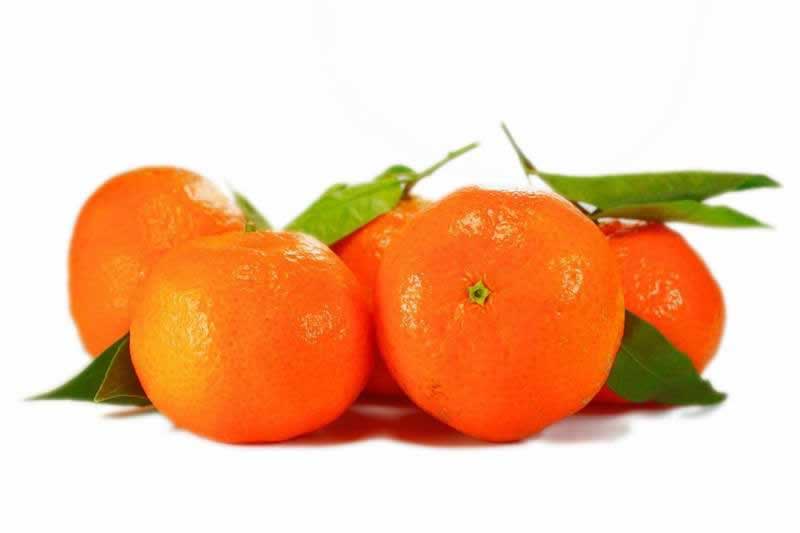 Lebensmittel Mandarine