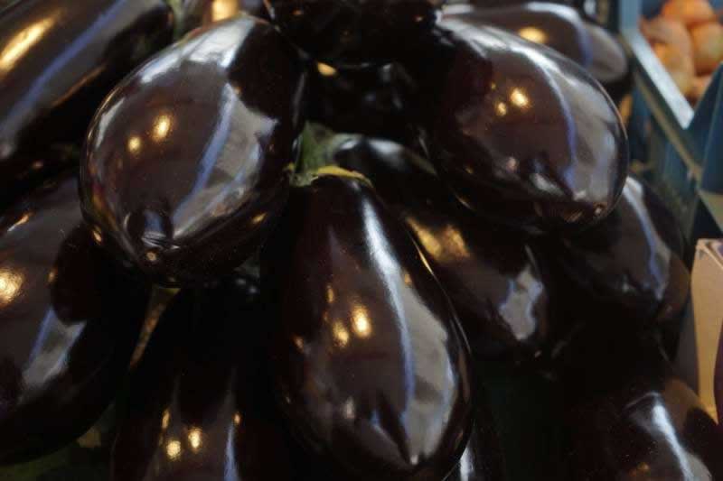 Lebensmittel Melanzani Aubergine