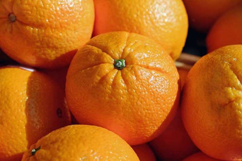 Lebensmittel Orange