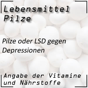 Pilze oder LSD gegen Depressionen