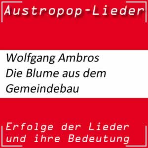 Wolfgang Ambros Die Blume aus dem Gemeindebau