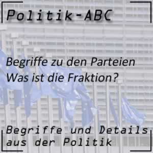 Fraktion in der Politik