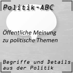 Öffentliche Meinung in politischen Fragen