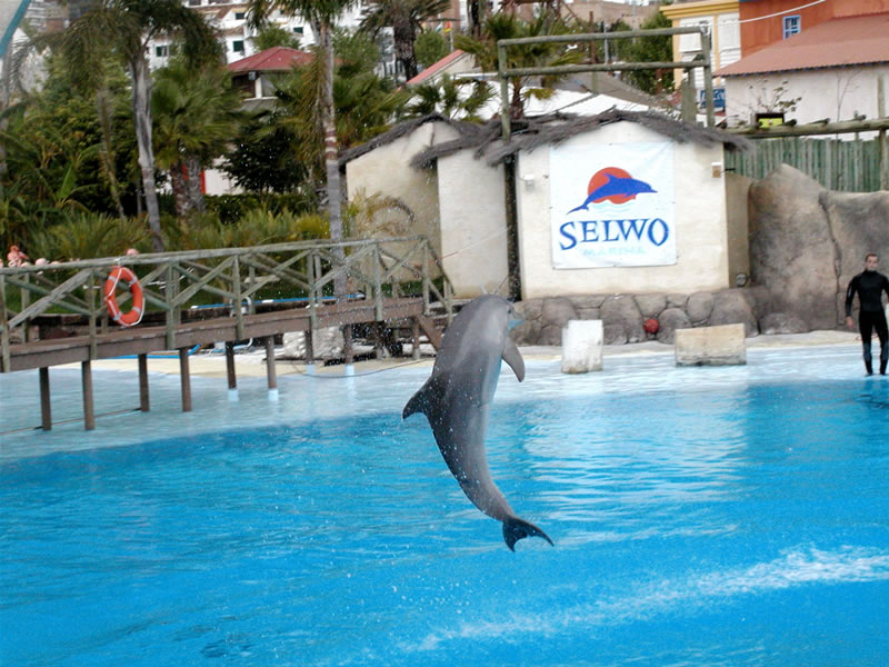 Selwo Tierpark in Andalusien