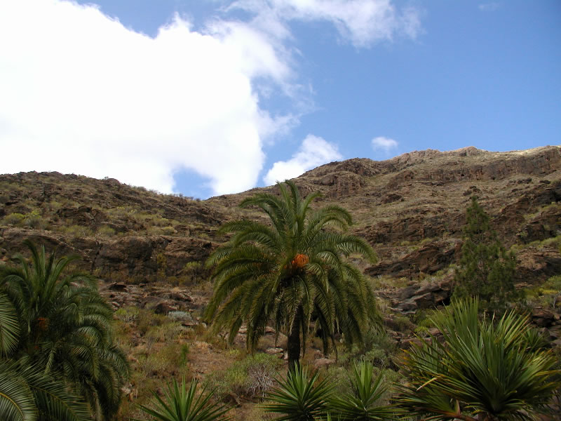 Urlaub Gran Canaria