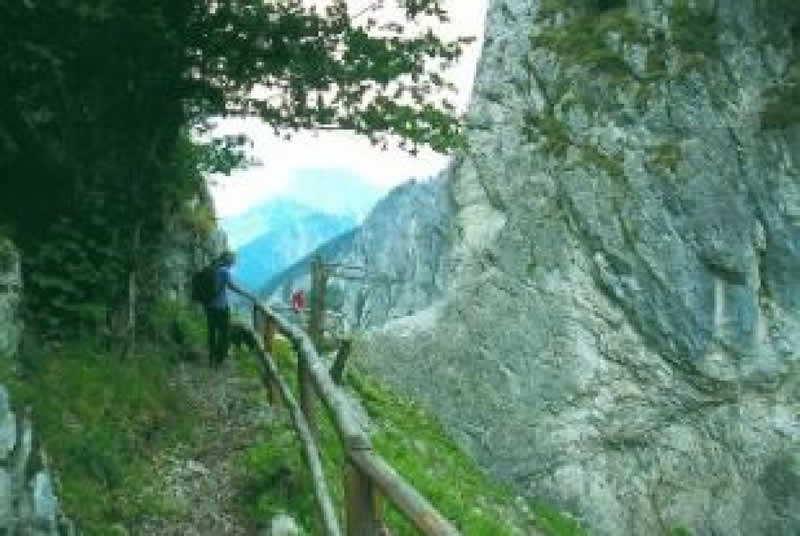 Bibelweg in Admont