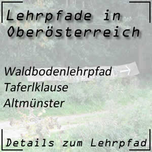 Waldbodenlehrpfad Taferlklause in Altmünster