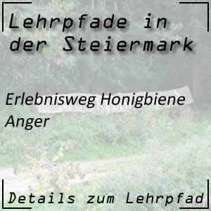 Erlebnisweg Honigbiene in Anger