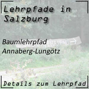 Baumlehrpfad in Annaberg-Lungötz