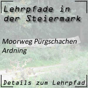 Moorweg Pürgschachen in Ardning