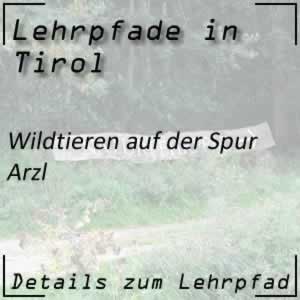 Lehrpfad Arzl Wildtieren auf der Spur