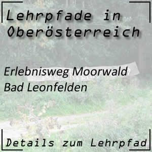 Erlebnisweg Moorwald in Bad Leonfelden