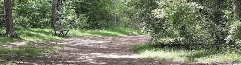 Lehrpfad Besondere Platzerln in Bad Vöslau