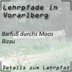 Lehrpfad Bizau Sinneslehrpfad