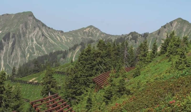 Lehrpfad Lawinenwege bei Blons in Vorarlberg