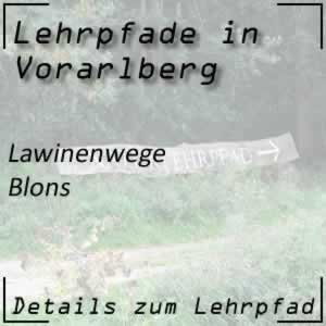 Lehrpfad Blons Lawinenwege