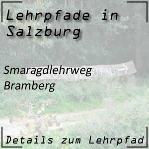 Smaragdlehrweg in Bramberg