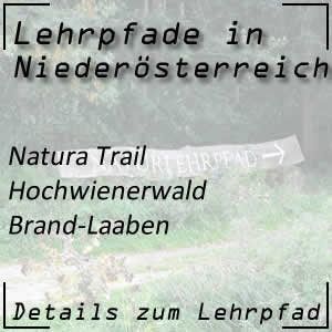 Natura Trail Hochwienerwald in Brand-Laaben