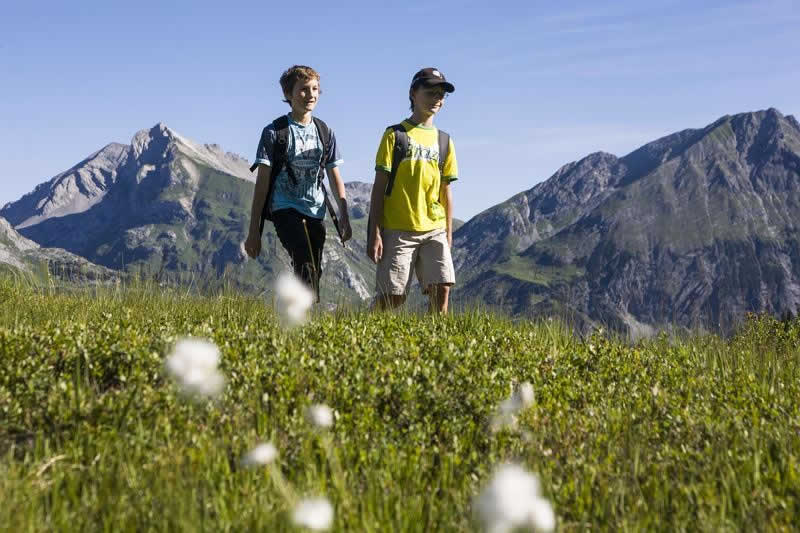 Lehrwanderweg bei Braz in Vorarlberg