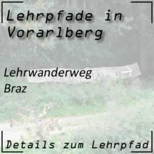 Lehrpfad Braz Lehrwanderweg