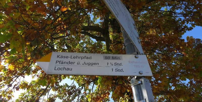 Lehrpfad Käsewanderung bei Bregenz