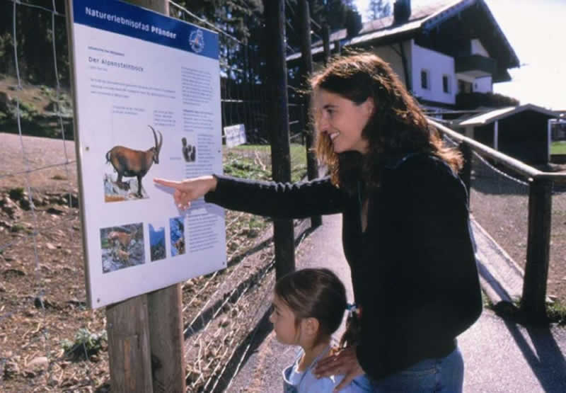 Naturlehrpfad Pfänder bei Bregenz