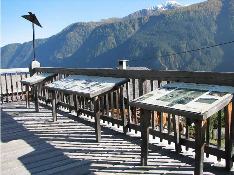 Panoramaweg Leben am Steilhang in Osttirol