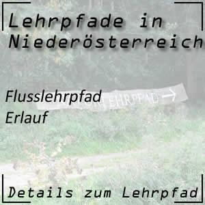 Flusslehrpfad in Erlauf