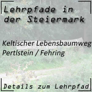 Keltischer Lebensbaumweg in Fehring