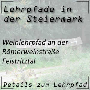 Weinlehrpfad in Feistritztal