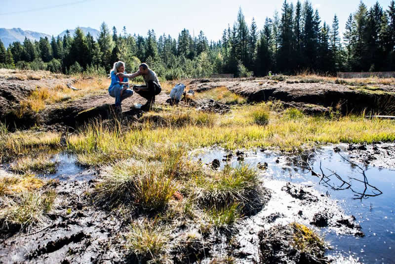 Moor-Lehrpfad am Piller Moor beim Piller Sattel