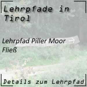 Lehrpfad Fließ Piller Moor