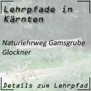 Lehrpfad Großglockner Naturlehrweg Gamsgrube