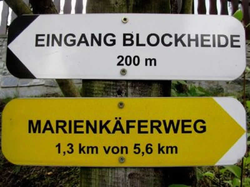 Lehrpfad Marienkäferweg in Gmünd