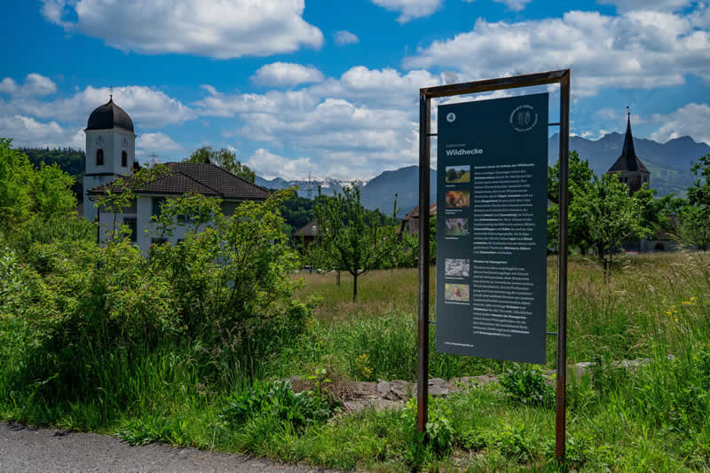 Lehrpfad Göfis