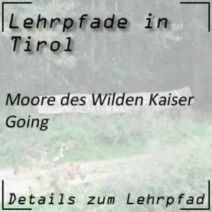 Lehrpfad Going Moore des Wilden Kaiser